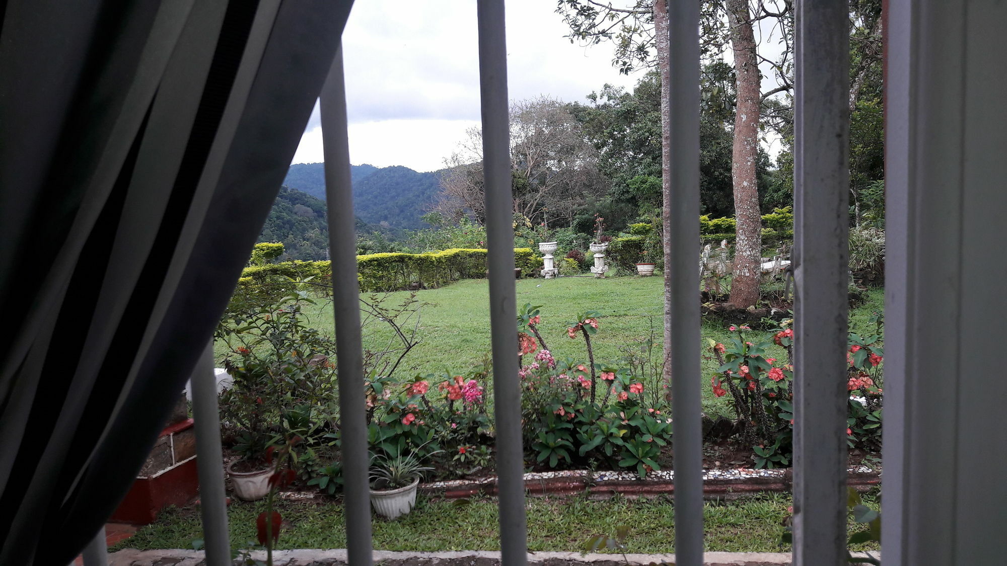 Oyo 441 Kandy Hill Bungalow Exteriér fotografie